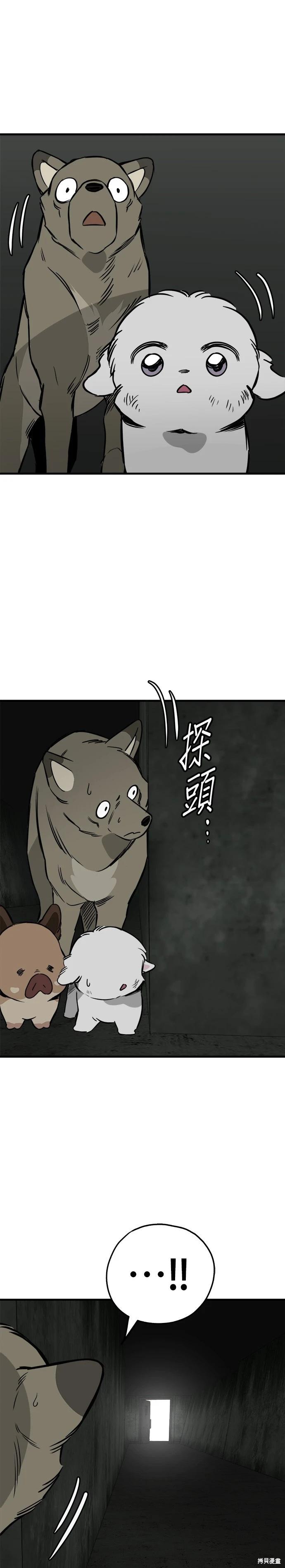 🍸狗狗末日生存法 第66话 第37页