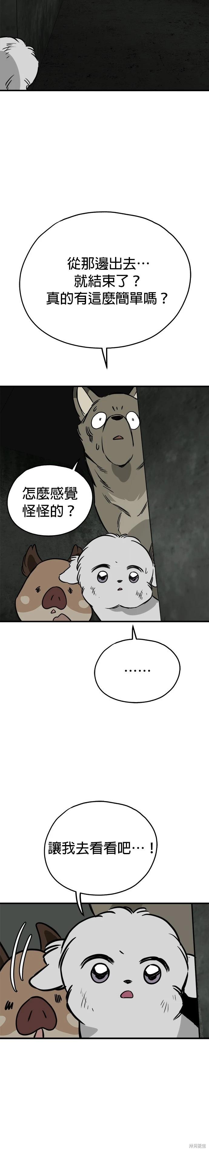 🍸狗狗末日生存法 第66话 第38页