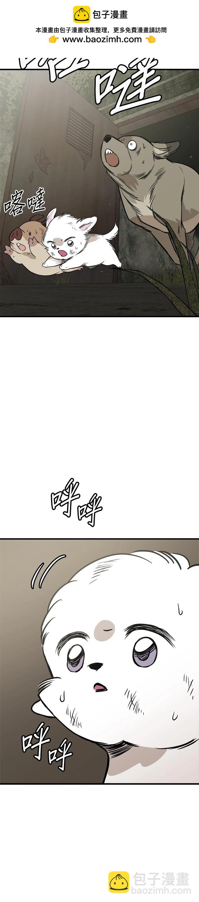 🍸狗狗末日生存法 第68话 第2页