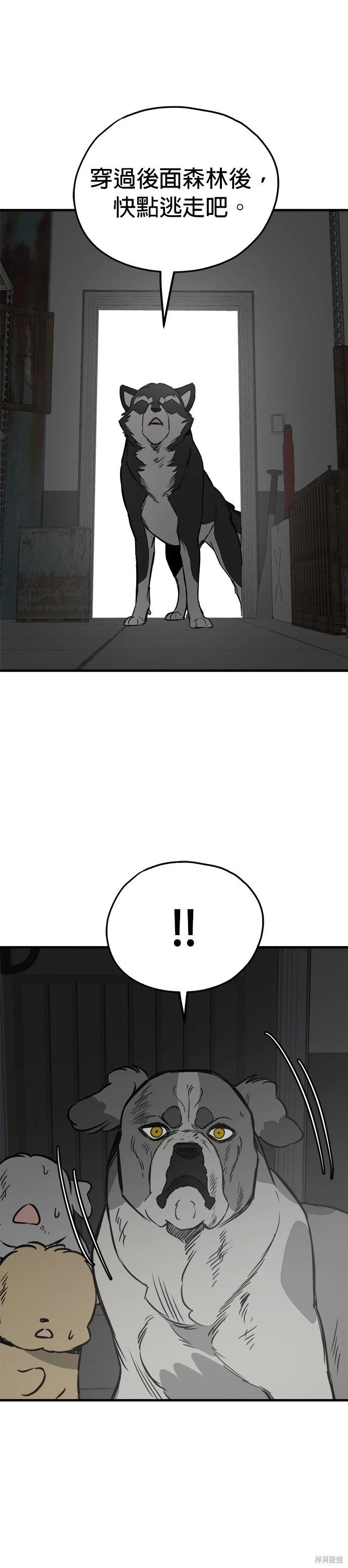 🍸狗狗末日生存法 第68话 第25页