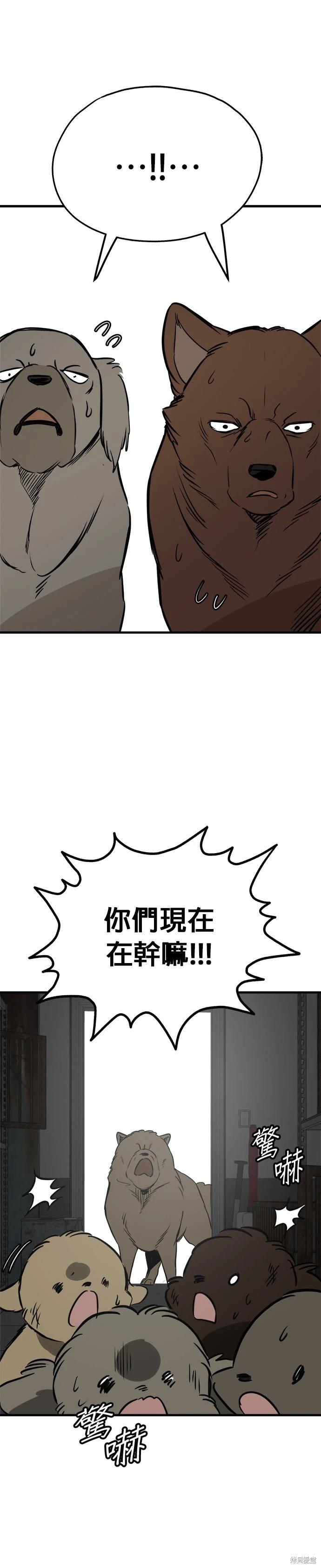 🍸狗狗末日生存法 第68话 第31页