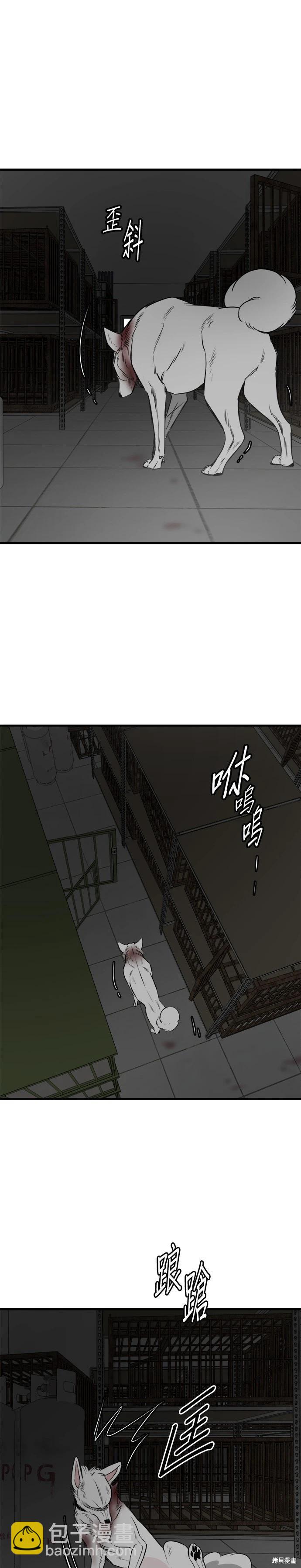 🍸狗狗末日生存法 第74话 第7页