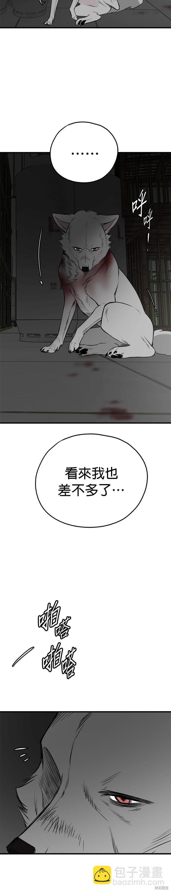 🍸狗狗末日生存法 第74话 第8页