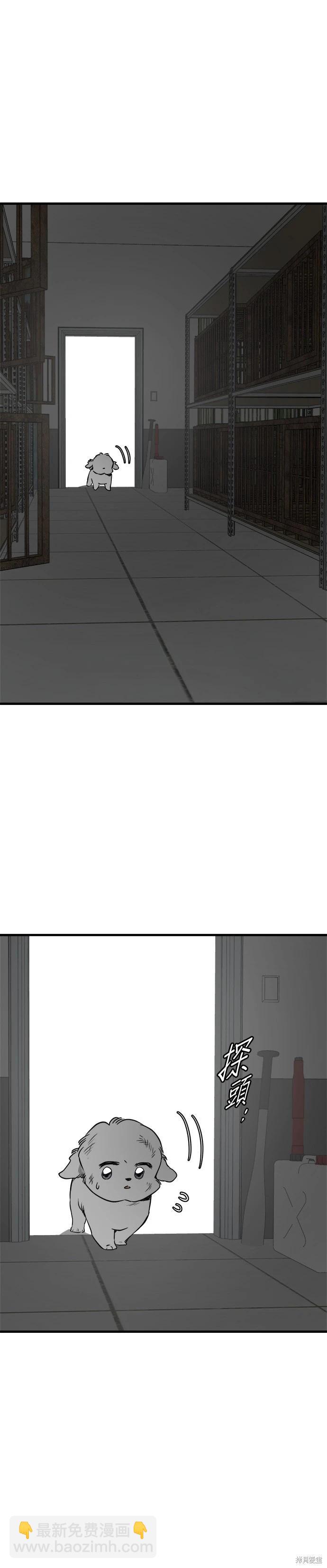 🍸狗狗末日生存法 第74话 第9页