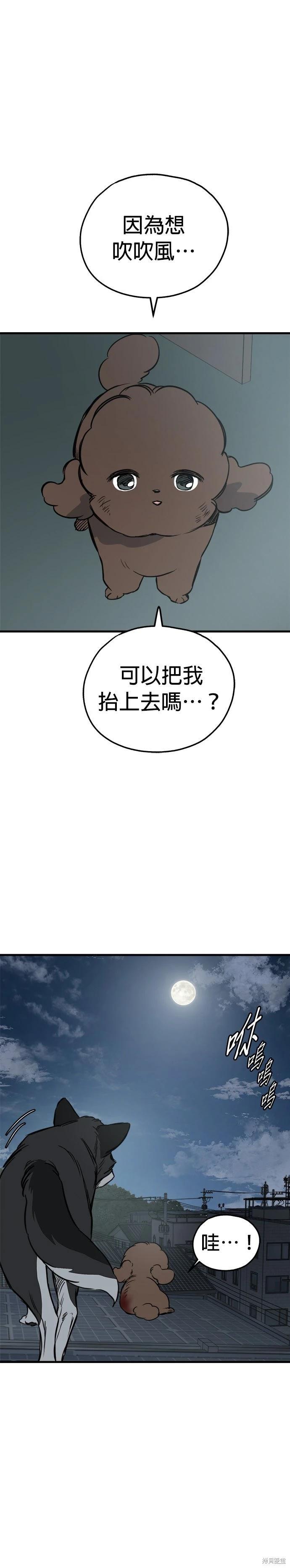 🍸狗狗末日生存法 第82话 第40页