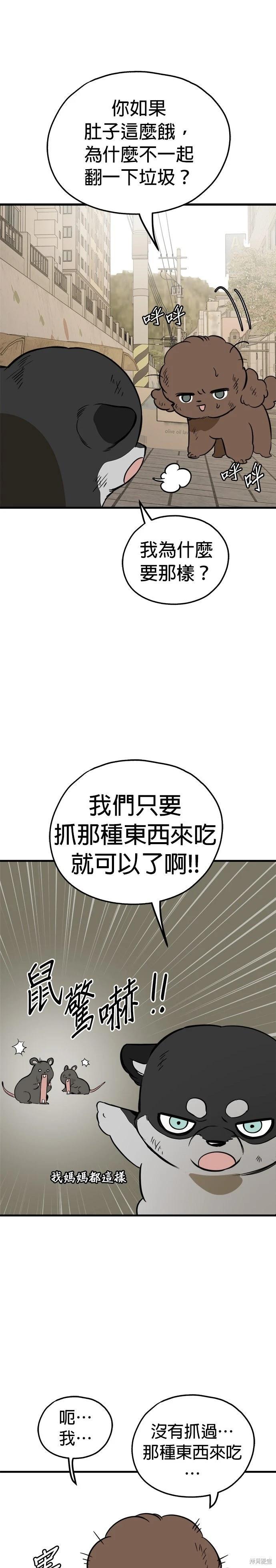 🍸狗狗末日生存法 第84话 第19页
