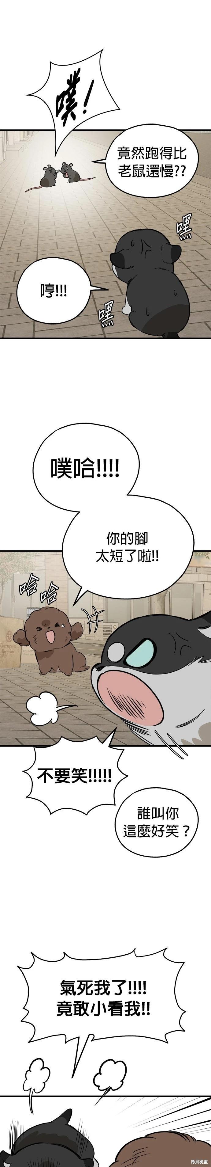 🍸狗狗末日生存法 第84话 第21页