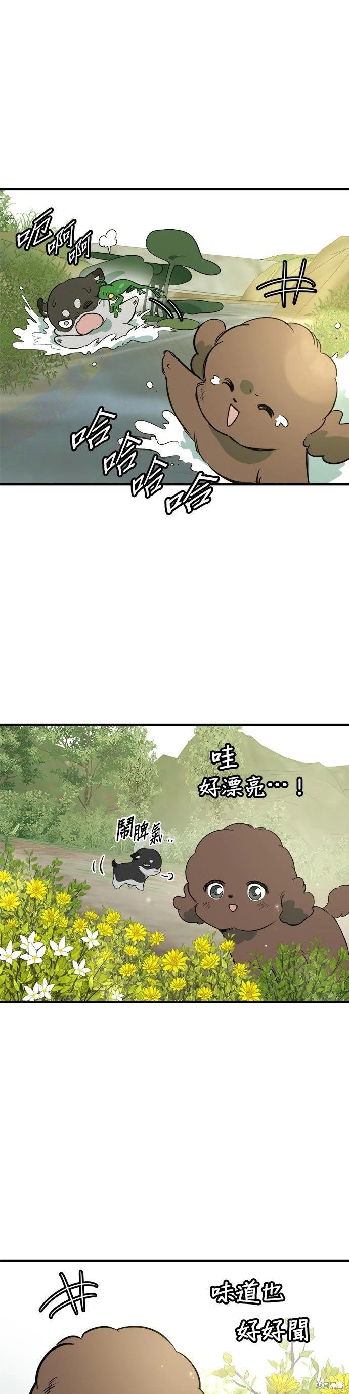 🍸狗狗末日生存法 第84话 第33页