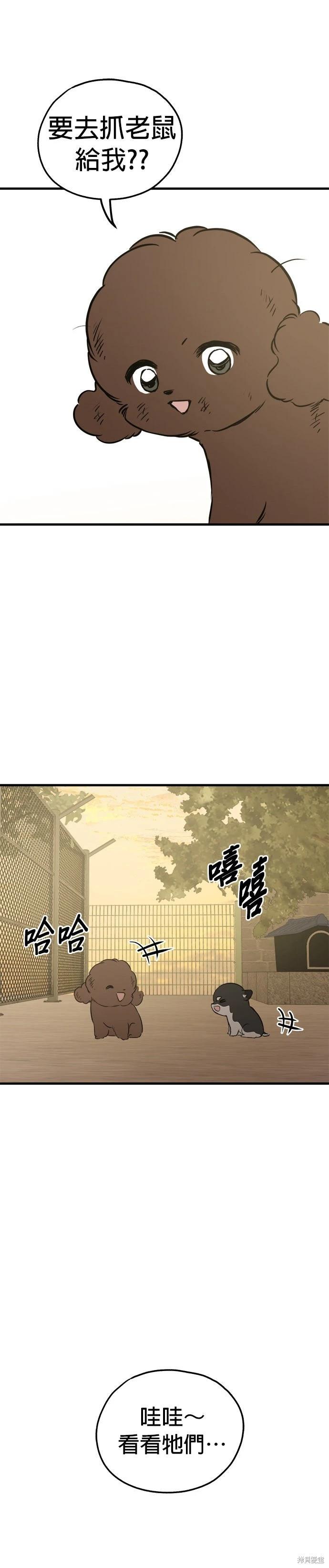 🍸狗狗末日生存法 第86话 第12页