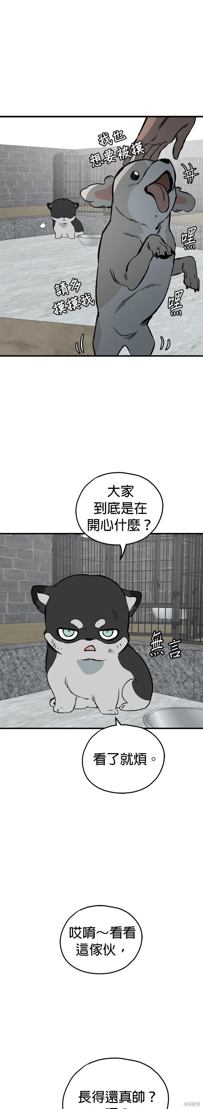 🍸狗狗末日生存法 第86话 第14页