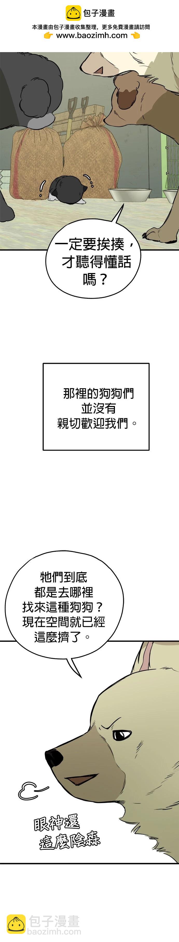 🍸狗狗末日生存法 第86话 第2页