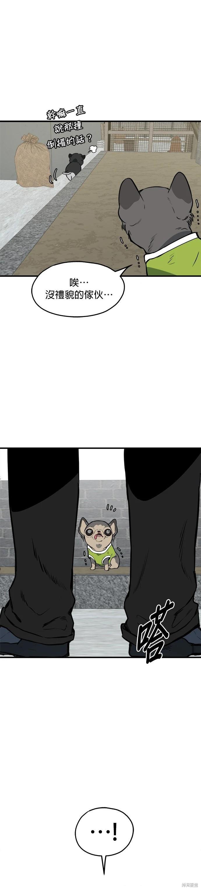 🍸狗狗末日生存法 第86话 第20页