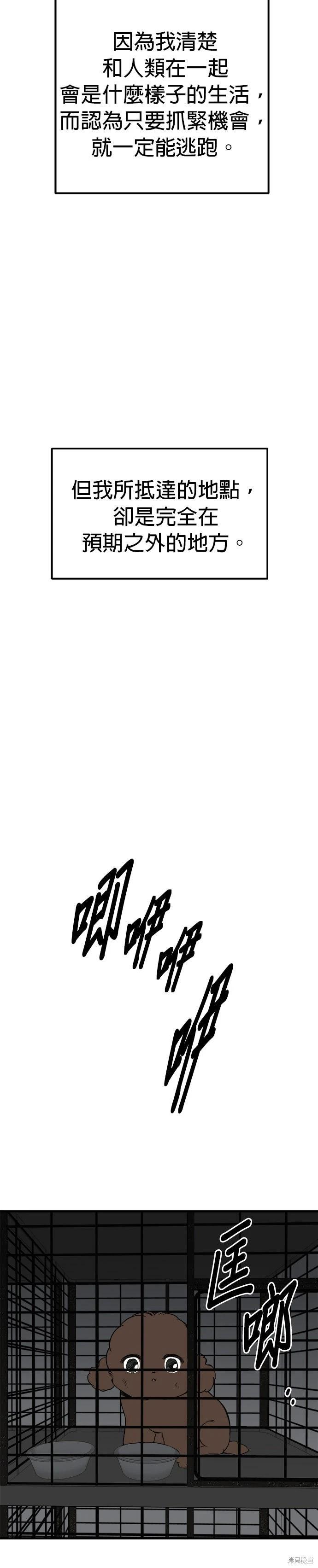 🍸狗狗末日生存法 第86话 第38页