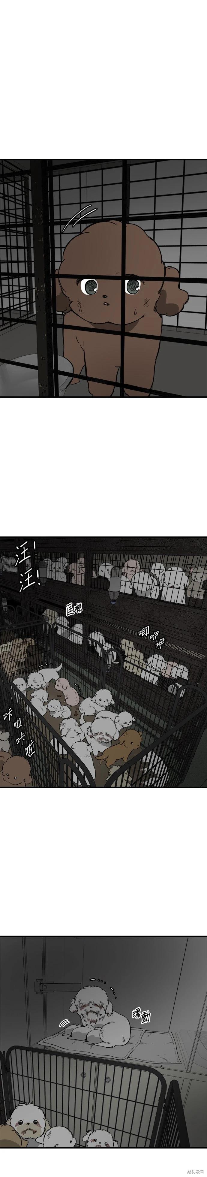 🍸狗狗末日生存法 第86话 第39页