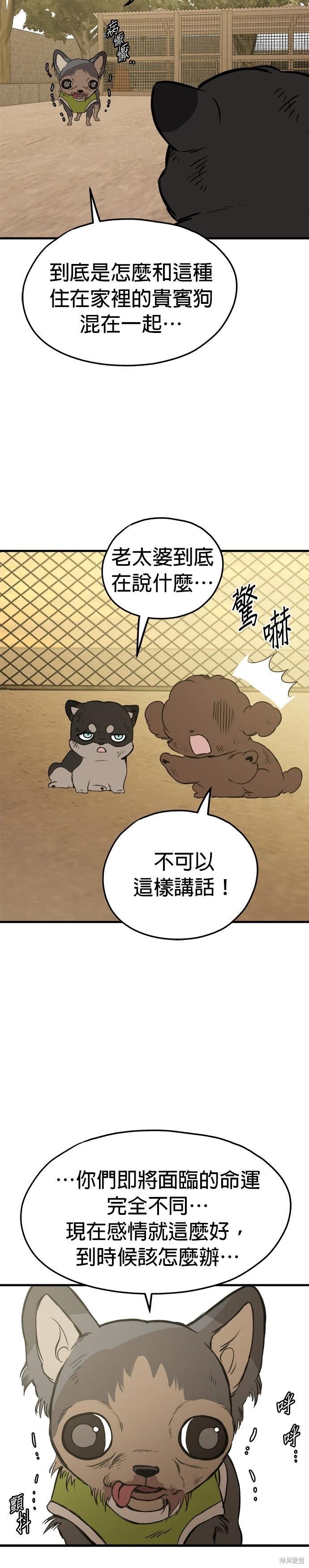 🍸狗狗末日生存法 第86话 第7页