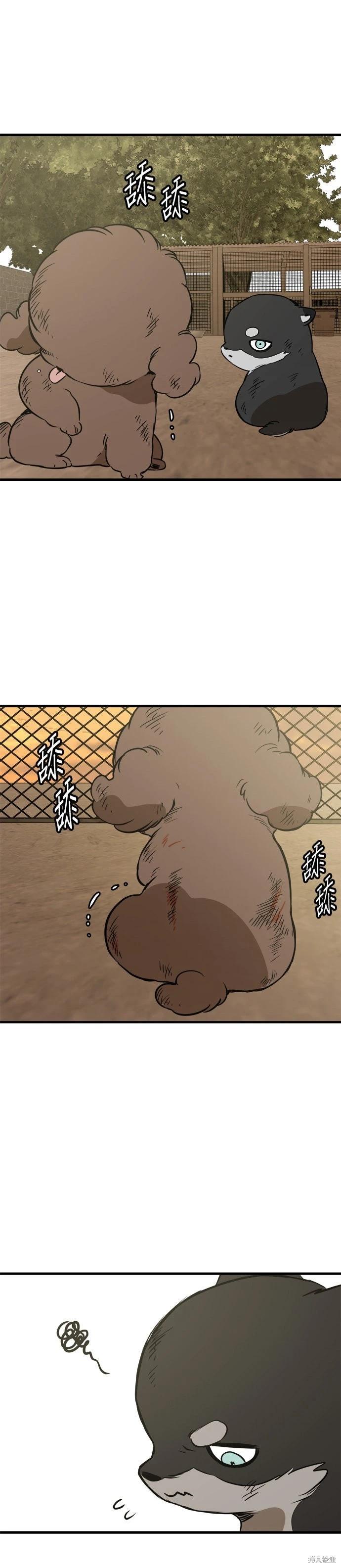 🍸狗狗末日生存法 第86话 第9页