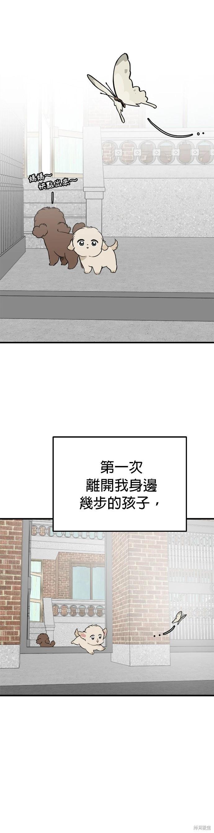 🍸狗狗末日生存法 第88话 第5页