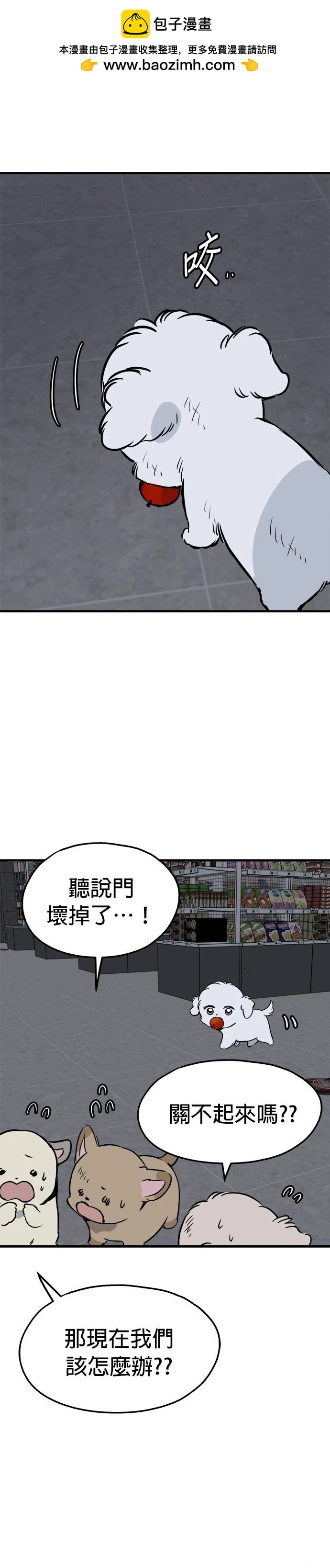 🍸狗狗末日生存法 第90话 第2页