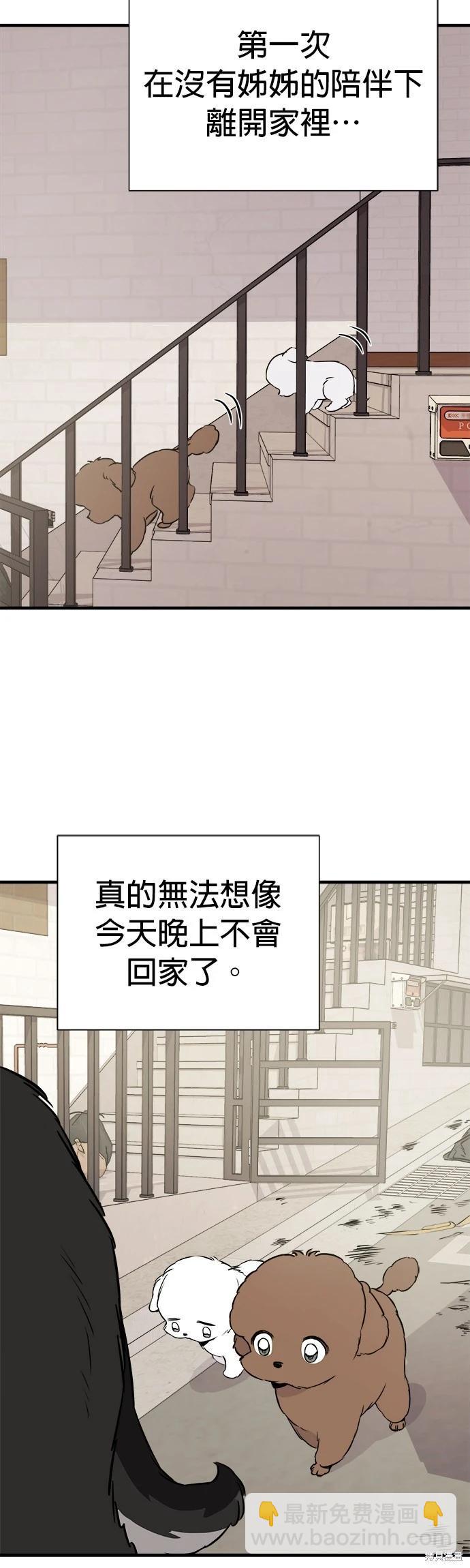 🍸狗狗末日生存法 第9话 第20页