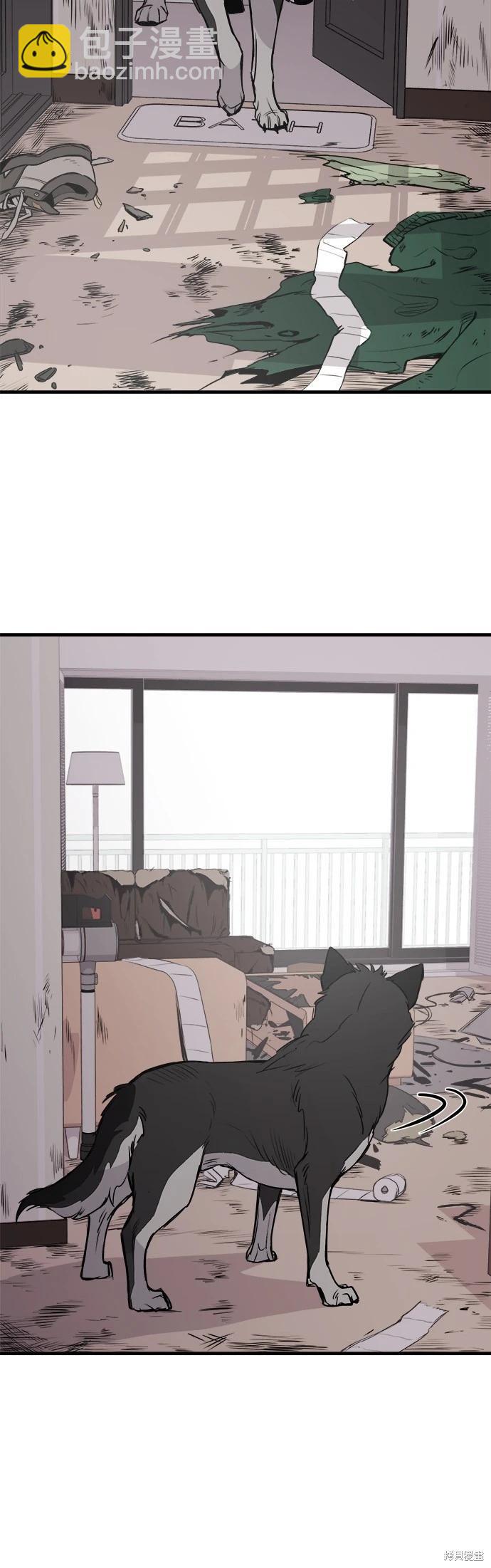 🍸狗狗末日生存法 第9话 第3页