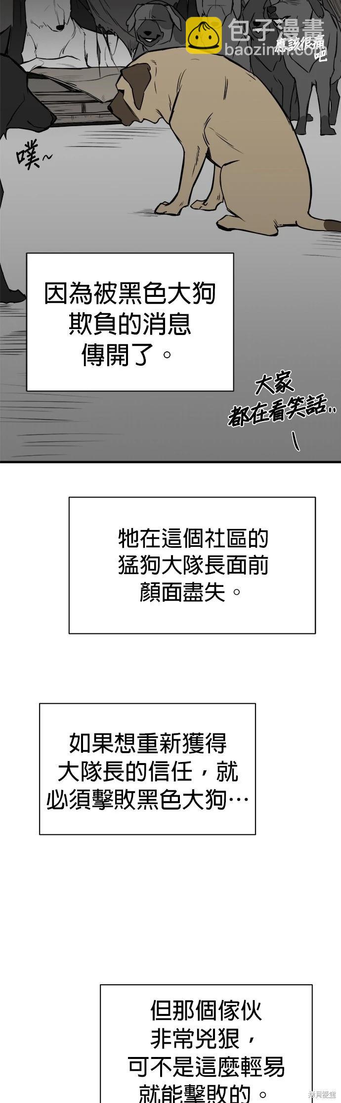 🍸狗狗末日生存法 第9话 第39页