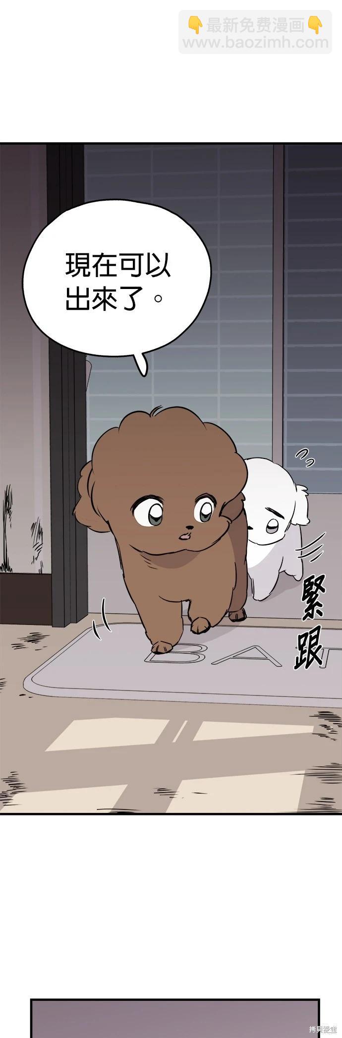 🍸狗狗末日生存法 第9话 第5页