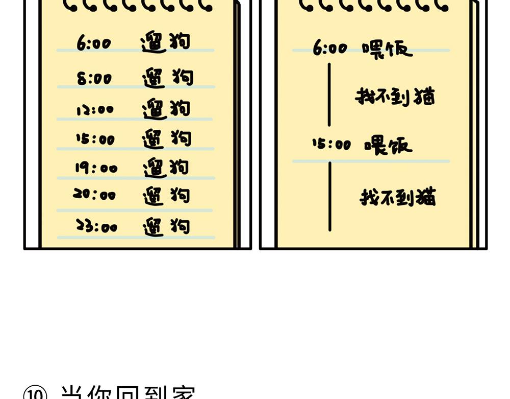 狗狗还是猫咪？选一个吧！-第1话