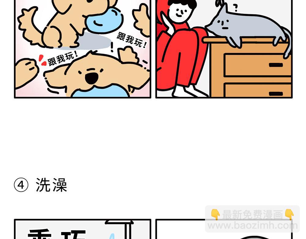 狗狗还是猫咪？选一个吧！-第1话