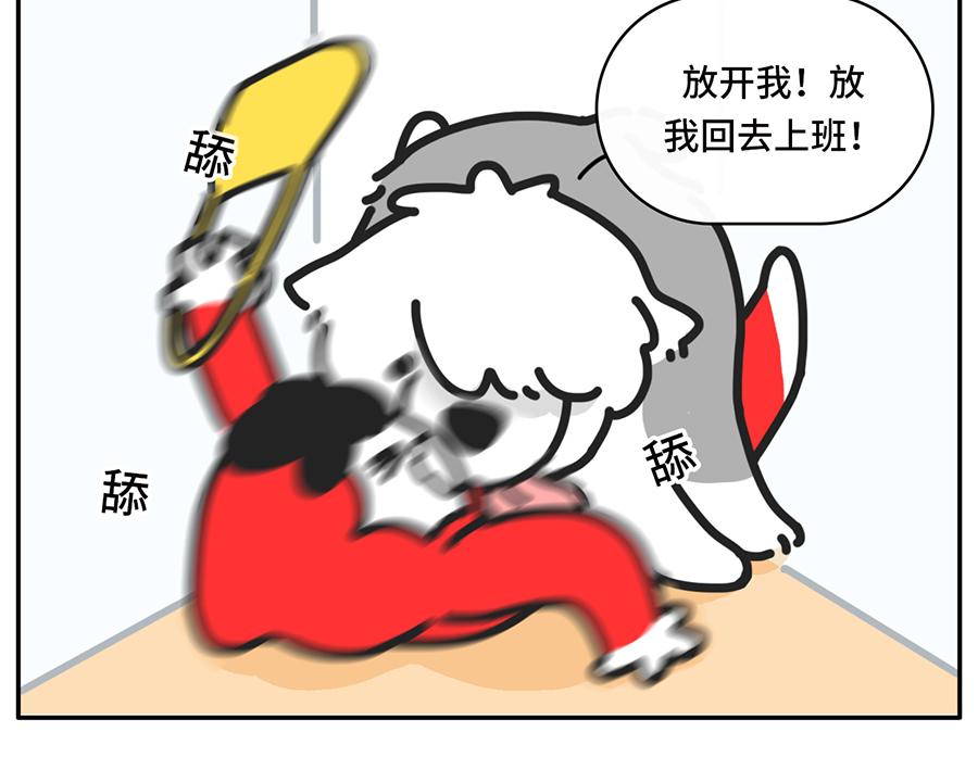 我和boss鲜为人知的那些事-第41话