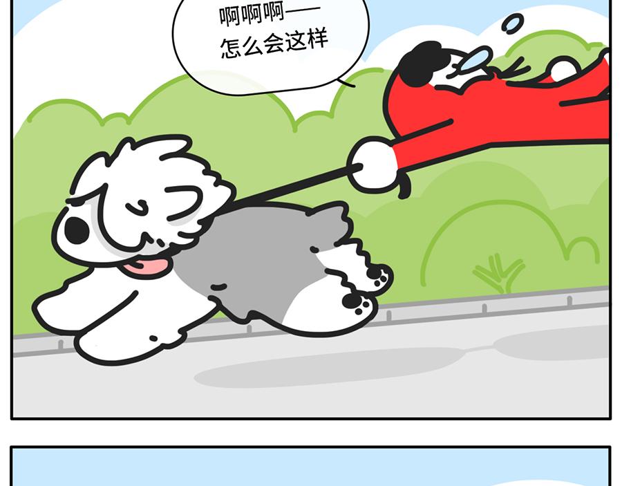我和boss鲜为人知的那些事-第41话