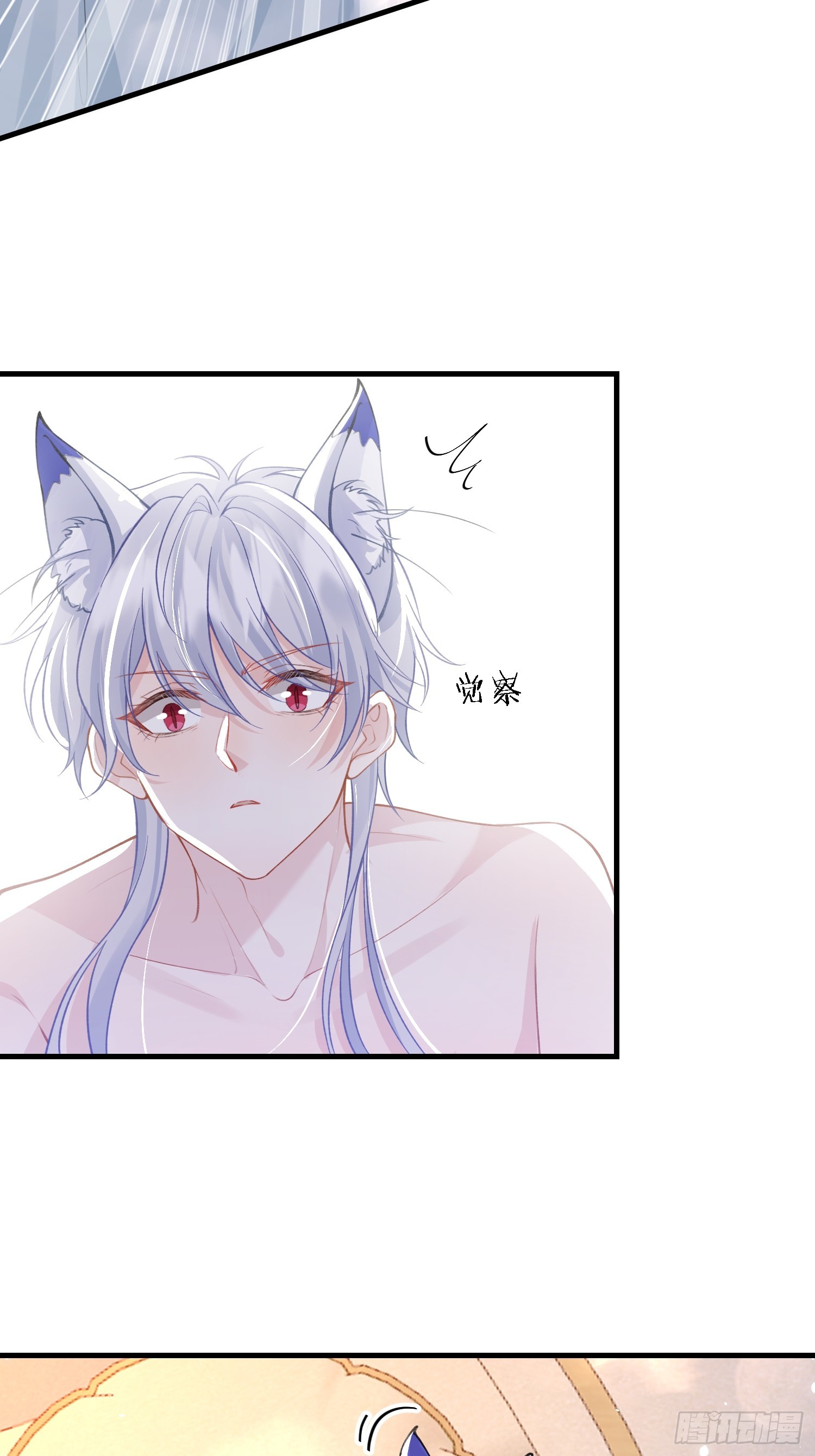 11 猫妖化人？-第11话