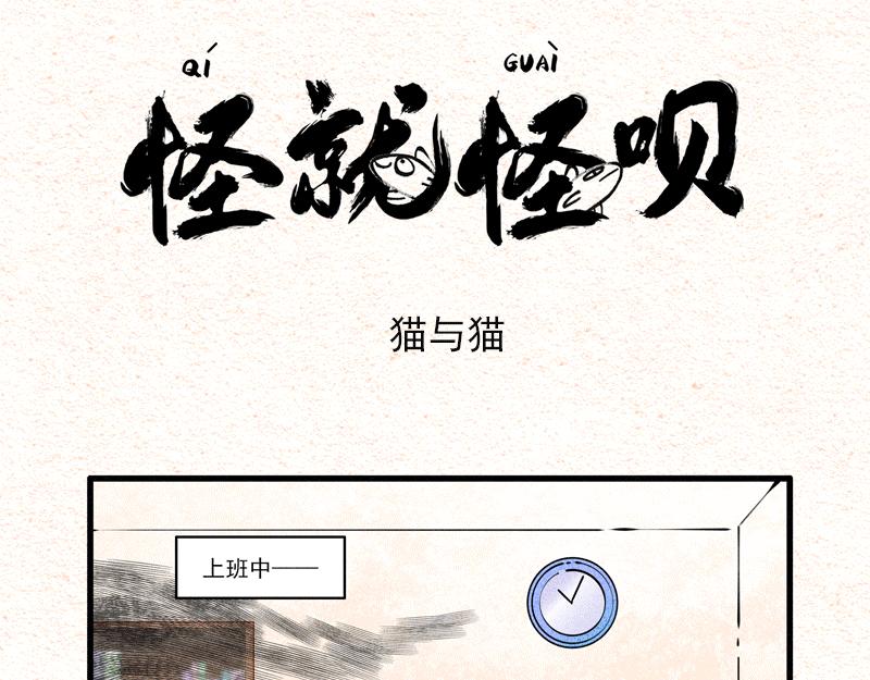 一山不容二猫，终于打起来了-第25话