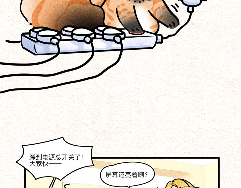 一山不容二猫，终于打起来了-第25话