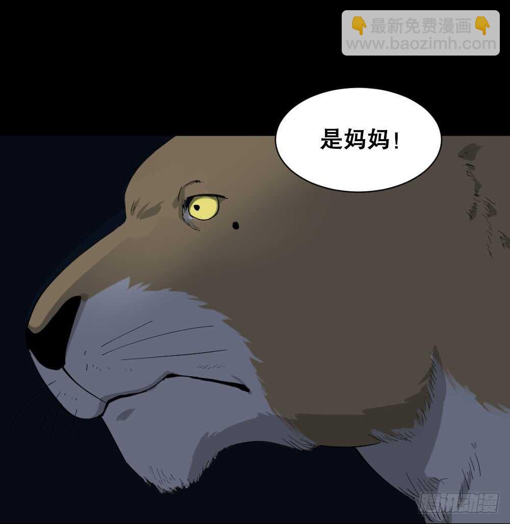 🍸怪奇笔记（怪奇脑洞集） 动物妈妈（5） 第42页