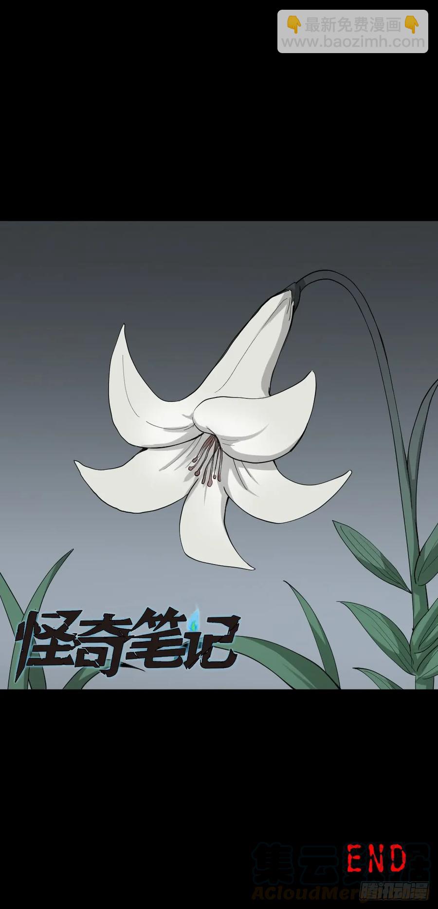 🍸怪奇笔记（怪奇脑洞集） 杀死我（4）+倾斜的房子（1） 第29页