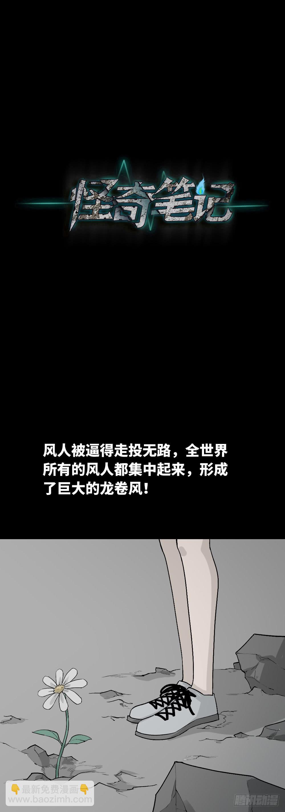 🍸怪奇笔记（怪奇脑洞集） 人头龙卷风（4） 第47页