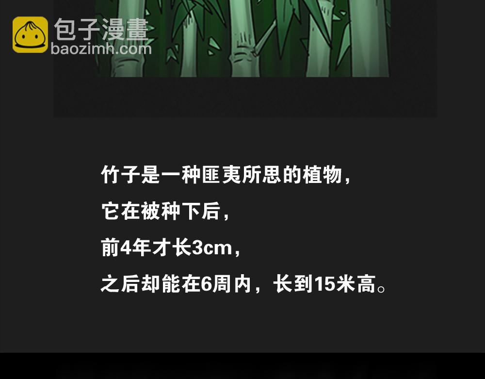 🍸怪奇笔记 竹人 第2页