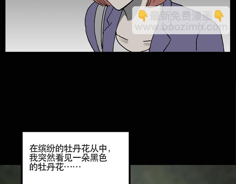 🍸怪奇实录 第13话 黑色牡丹花· 照片1 第16页