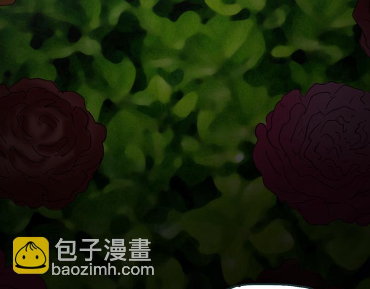 🍸怪奇实录 第13话 黑色牡丹花· 照片1 第25页