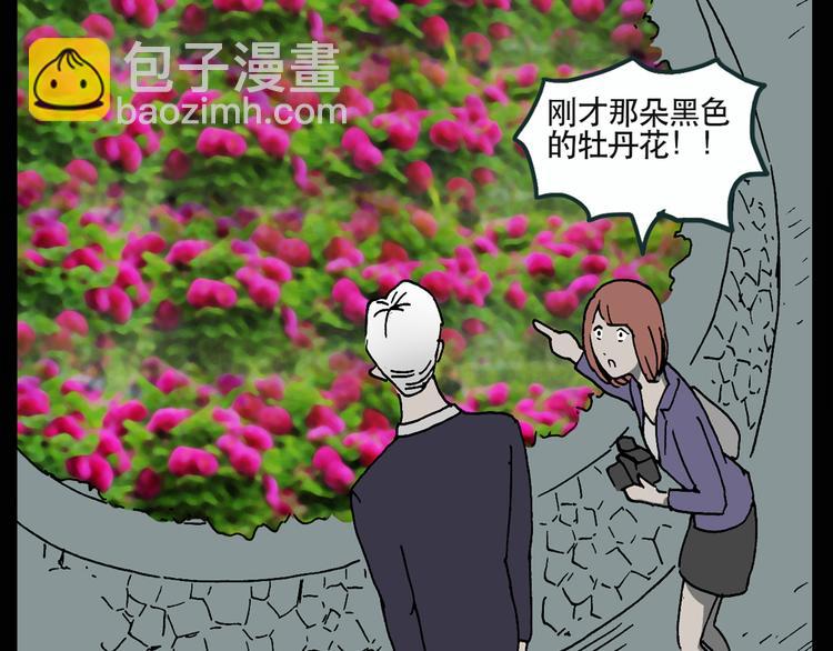 🍸怪奇实录 第13话 黑色牡丹花· 照片1 第27页