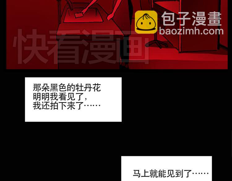 🍸怪奇实录 第13话 黑色牡丹花· 照片1 第33页
