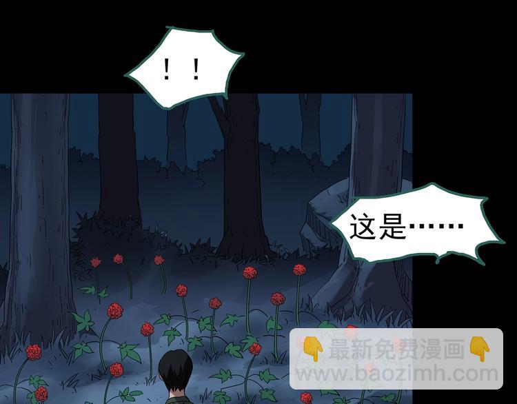 🍸怪奇实录 第211话 人参村（中二） 第34页