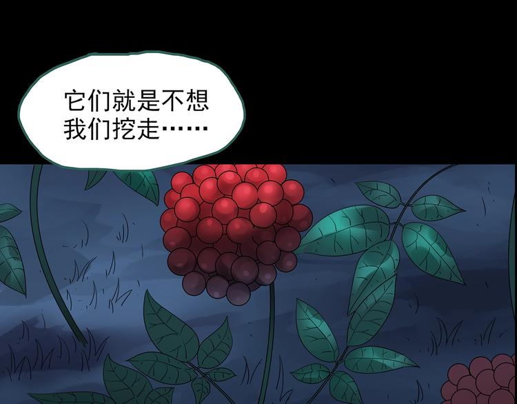🍸怪奇实录 第211话 人参村（中二） 第39页