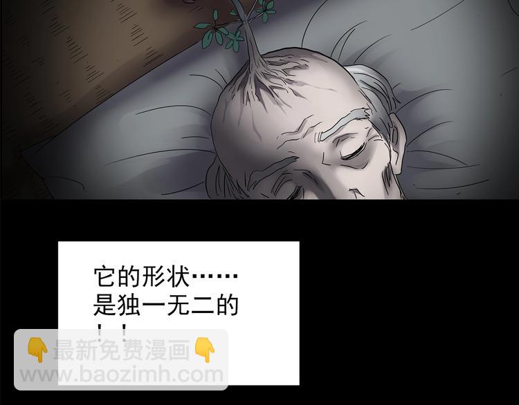 🍸怪奇实录 第211话 人参村（中二） 第44页