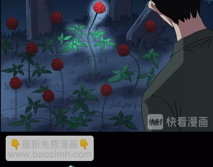 🍸怪奇实录 第211话 人参村（中二） 第48页