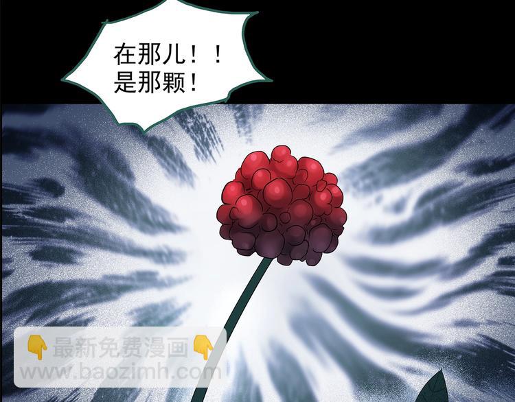 🍸怪奇实录 第211话 人参村（中二） 第49页