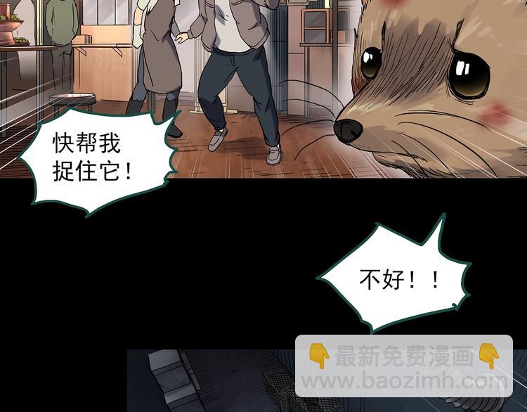 🍸怪奇实录 第271话   貂皮大衣  下 第13页