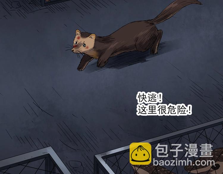 🍸怪奇实录 第271话   貂皮大衣  下 第16页