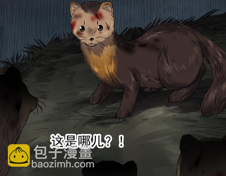 🍸怪奇实录 第271话   貂皮大衣  下 第25页