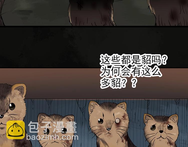 🍸怪奇实录 第271话   貂皮大衣  下 第26页